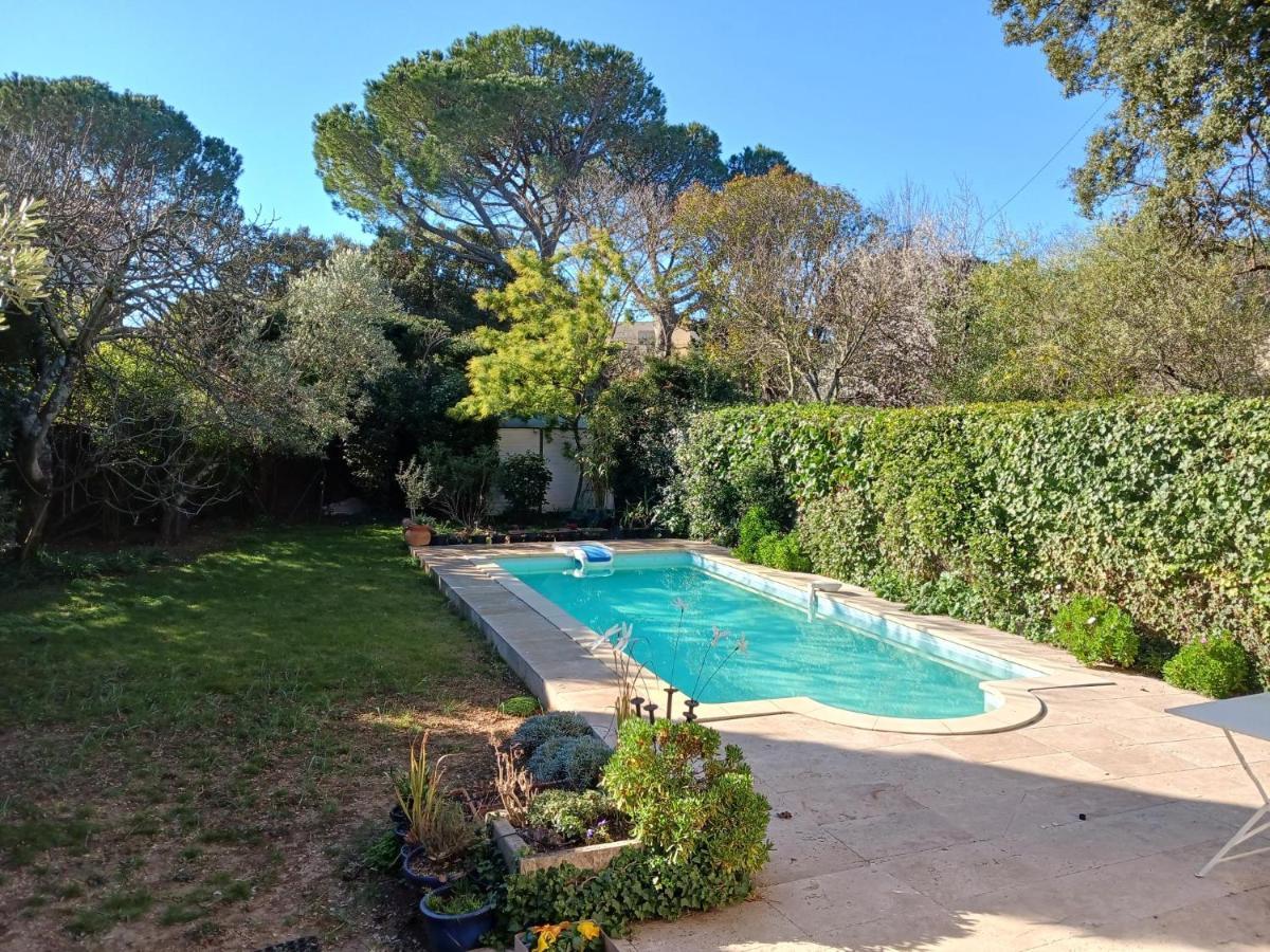 Studio Charmant Et Calme Villeneuve Les Avignon Entree Et Cour Independantes Climatisation Piscine Parking 외부 사진