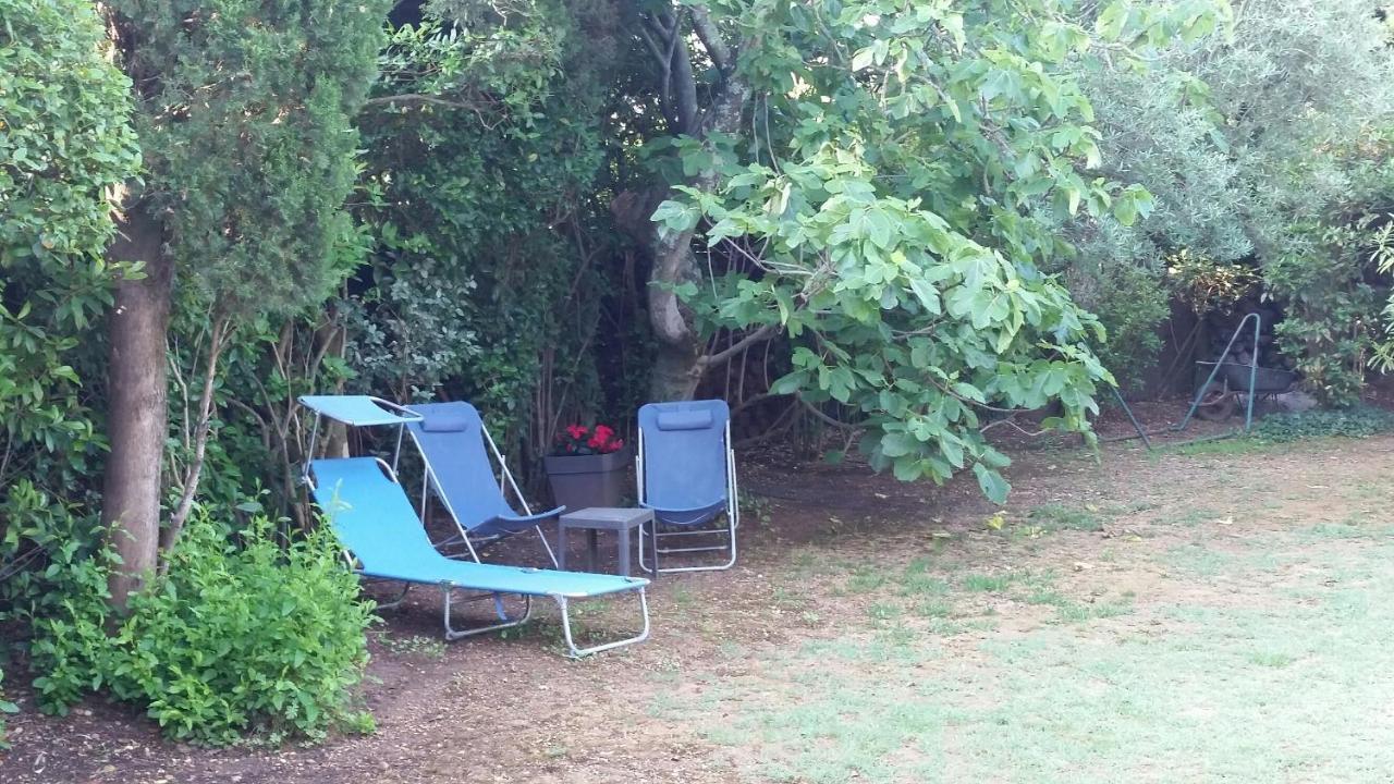 Studio Charmant Et Calme Villeneuve Les Avignon Entree Et Cour Independantes Climatisation Piscine Parking 외부 사진